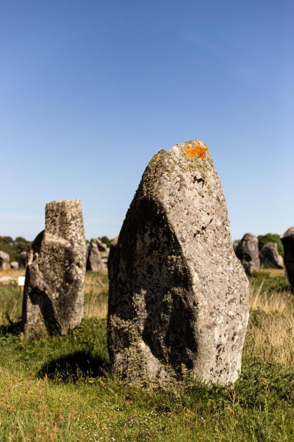 La Metairie Saint-Michel De Quinipily - Les Gites De Kerouzec - Nature Et Detente Baud Luaran gambar